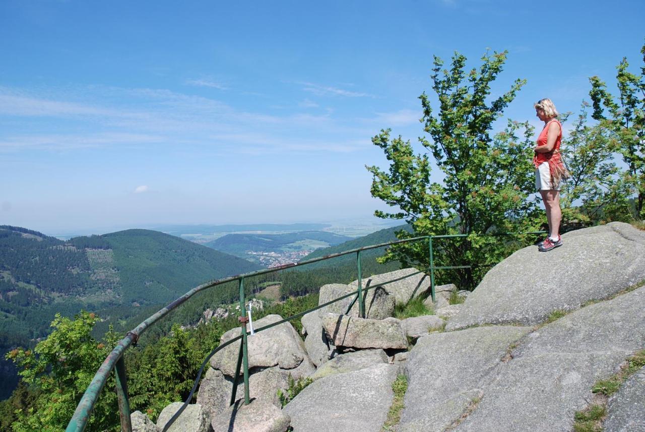 Ferienwohnung-Bergblick Bad Harzburg Exteriör bild