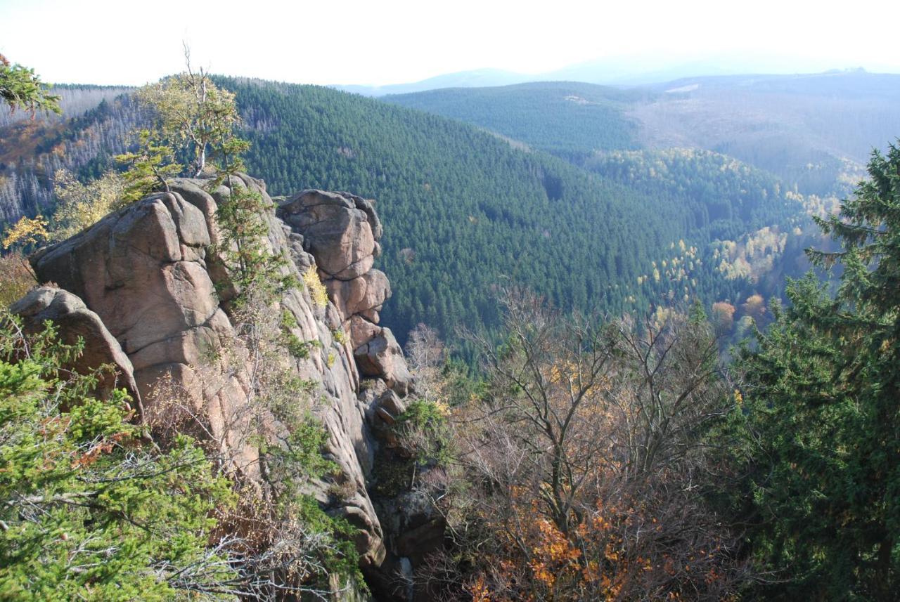 Ferienwohnung-Bergblick Bad Harzburg Exteriör bild