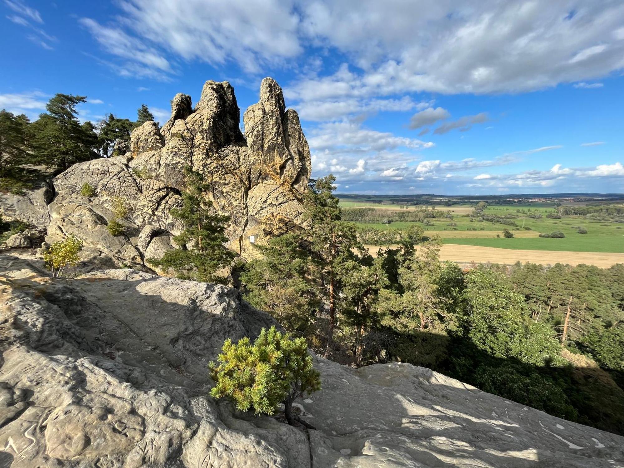 Ferienwohnung-Bergblick Bad Harzburg Exteriör bild